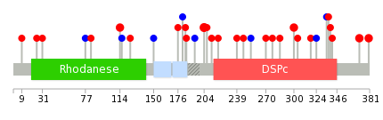 We used uniprot protein structure data from ensemble BioMart database. The size of circle shows the relative mutation number.