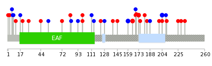 We used uniprot protein structure data from ensemble BioMart database. The size of circle shows the relative mutation number.