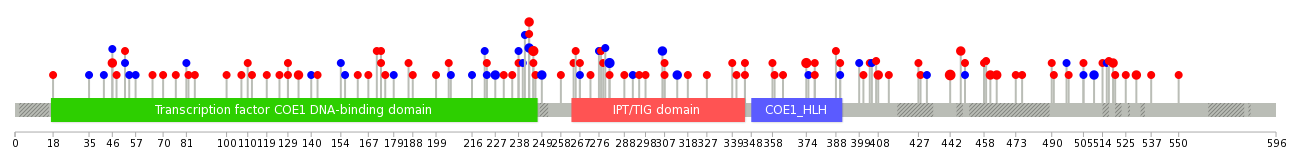 We used uniprot protein structure data from ensemble BioMart database. The size of circle shows the relative mutation number.