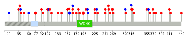 We used uniprot protein structure data from ensemble BioMart database. The size of circle shows the relative mutation number.