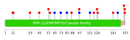 We used uniprot protein structure data from ensemble BioMart database. The size of circle shows the relative mutation number.