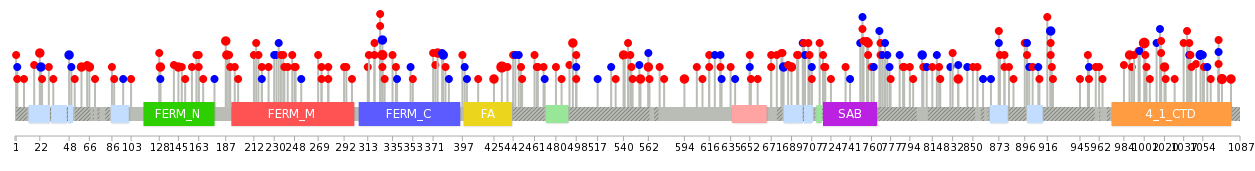 We used uniprot protein structure data from ensemble BioMart database. The size of circle shows the relative mutation number.