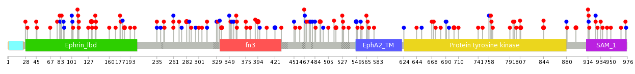 We used uniprot protein structure data from ensemble BioMart database. The size of circle shows the relative mutation number.