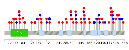 We used uniprot protein structure data from ensemble BioMart database. The size of circle shows the relative mutation number.