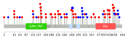 We used uniprot protein structure data from ensemble BioMart database. The size of circle shows the relative mutation number.