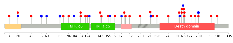 We used uniprot protein structure data from ensemble BioMart database. The size of circle shows the relative mutation number.