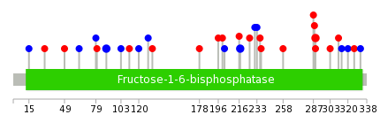 We used uniprot protein structure data from ensemble BioMart database. The size of circle shows the relative mutation number.