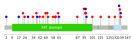 We used uniprot protein structure data from ensemble BioMart database. The size of circle shows the relative mutation number.