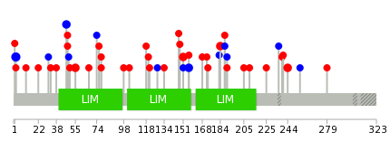 We used uniprot protein structure data from ensemble BioMart database. The size of circle shows the relative mutation number.