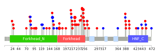 We used uniprot protein structure data from ensemble BioMart database. The size of circle shows the relative mutation number.