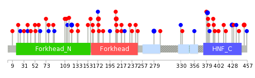 We used uniprot protein structure data from ensemble BioMart database. The size of circle shows the relative mutation number.