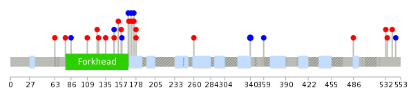 We used uniprot protein structure data from ensemble BioMart database. The size of circle shows the relative mutation number.