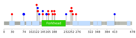 We used uniprot protein structure data from ensemble BioMart database. The size of circle shows the relative mutation number.