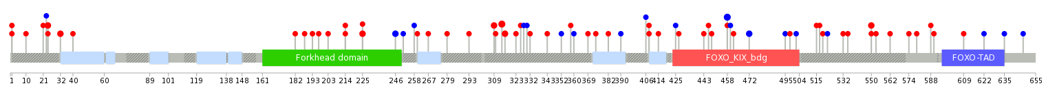 We used uniprot protein structure data from ensemble BioMart database. The size of circle shows the relative mutation number.