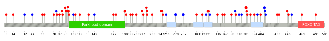 We used uniprot protein structure data from ensemble BioMart database. The size of circle shows the relative mutation number.