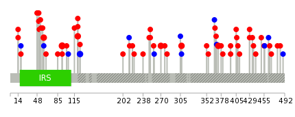 We used uniprot protein structure data from ensemble BioMart database. The size of circle shows the relative mutation number.