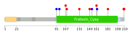 We used uniprot protein structure data from ensemble BioMart database. The size of circle shows the relative mutation number.