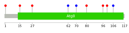 We used uniprot protein structure data from ensemble BioMart database. The size of circle shows the relative mutation number.