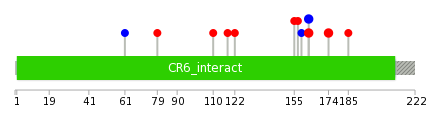 We used uniprot protein structure data from ensemble BioMart database. The size of circle shows the relative mutation number.