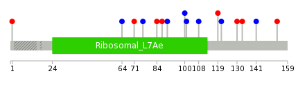 We used uniprot protein structure data from ensemble BioMart database. The size of circle shows the relative mutation number.