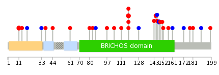 We used uniprot protein structure data from ensemble BioMart database. The size of circle shows the relative mutation number.