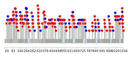 We used uniprot protein structure data from ensemble BioMart database. The size of circle shows the relative mutation number.