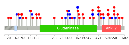 We used uniprot protein structure data from ensemble BioMart database. The size of circle shows the relative mutation number.