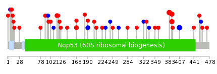 We used uniprot protein structure data from ensemble BioMart database. The size of circle shows the relative mutation number.