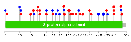 We used uniprot protein structure data from ensemble BioMart database. The size of circle shows the relative mutation number.