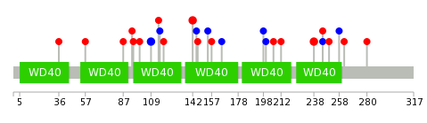 We used uniprot protein structure data from ensemble BioMart database. The size of circle shows the relative mutation number.