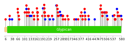 We used uniprot protein structure data from ensemble BioMart database. The size of circle shows the relative mutation number.