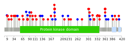 We used uniprot protein structure data from ensemble BioMart database. The size of circle shows the relative mutation number.