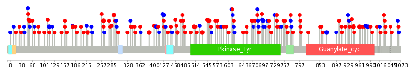 We used uniprot protein structure data from ensemble BioMart database. The size of circle shows the relative mutation number.