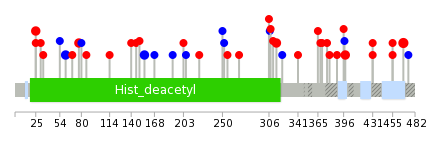 We used uniprot protein structure data from ensemble BioMart database. The size of circle shows the relative mutation number.