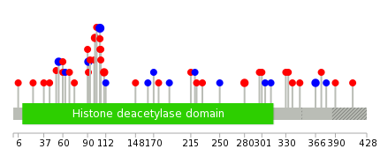 We used uniprot protein structure data from ensemble BioMart database. The size of circle shows the relative mutation number.