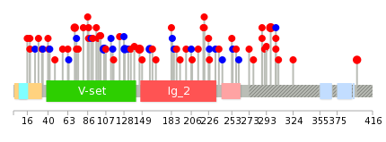 We used uniprot protein structure data from ensemble BioMart database. The size of circle shows the relative mutation number.