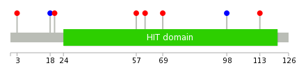 We used uniprot protein structure data from ensemble BioMart database. The size of circle shows the relative mutation number.