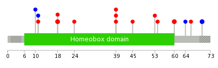 We used uniprot protein structure data from ensemble BioMart database. The size of circle shows the relative mutation number.