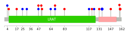 We used uniprot protein structure data from ensemble BioMart database. The size of circle shows the relative mutation number.