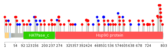 We used uniprot protein structure data from ensemble BioMart database. The size of circle shows the relative mutation number.