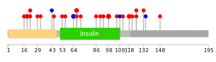 We used uniprot protein structure data from ensemble BioMart database. The size of circle shows the relative mutation number.