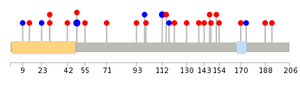 We used uniprot protein structure data from ensemble BioMart database. The size of circle shows the relative mutation number.