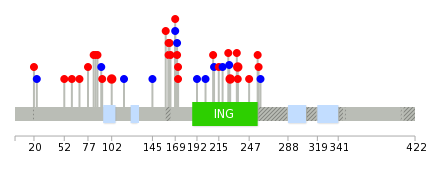 We used uniprot protein structure data from ensemble BioMart database. The size of circle shows the relative mutation number.