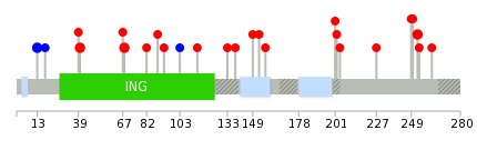 We used uniprot protein structure data from ensemble BioMart database. The size of circle shows the relative mutation number.