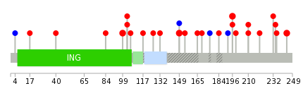 We used uniprot protein structure data from ensemble BioMart database. The size of circle shows the relative mutation number.