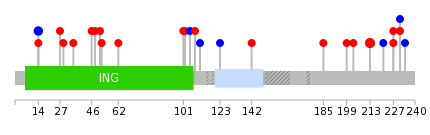 We used uniprot protein structure data from ensemble BioMart database. The size of circle shows the relative mutation number.