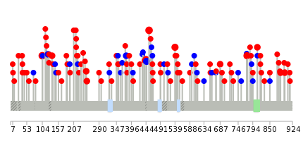 We used uniprot protein structure data from ensemble BioMart database. The size of circle shows the relative mutation number.