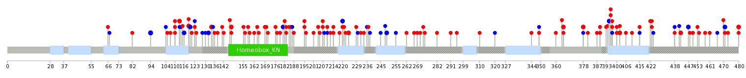 We used uniprot protein structure data from ensemble BioMart database. The size of circle shows the relative mutation number.