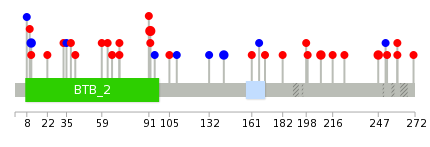 We used uniprot protein structure data from ensemble BioMart database. The size of circle shows the relative mutation number.