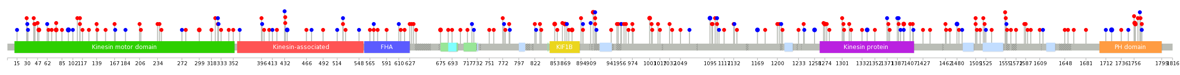 We used uniprot protein structure data from ensemble BioMart database. The size of circle shows the relative mutation number.